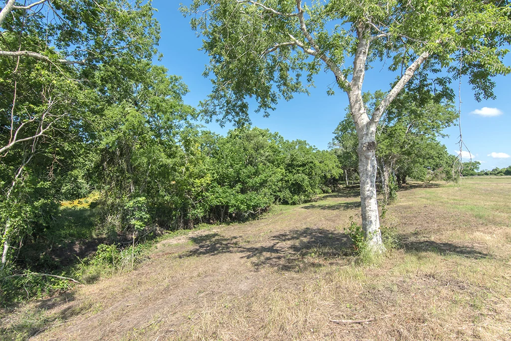 Landscape of Lot 4 at Creek Bend Estates