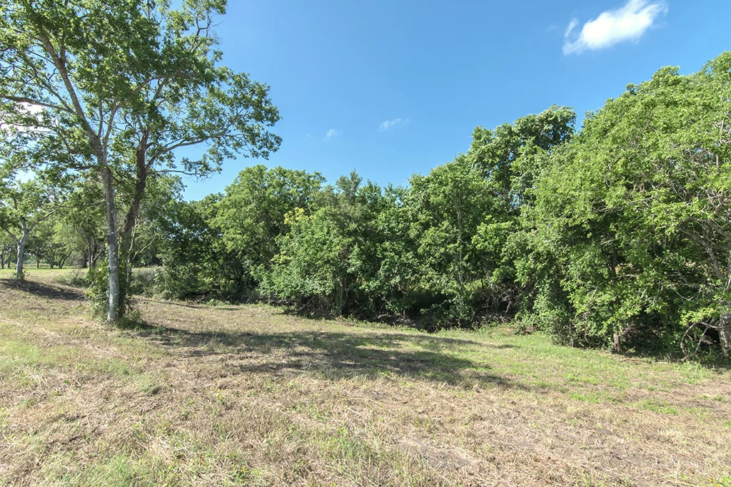 Lot 4, property view 2