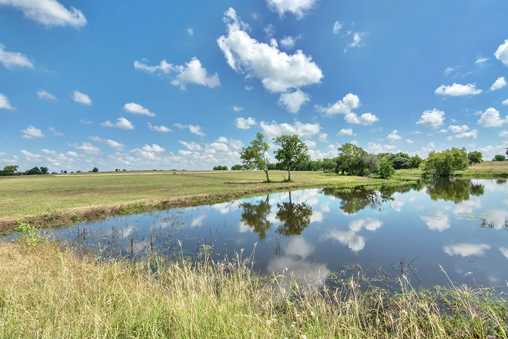 Landscape of Lot 6 at Creek Bend Estates