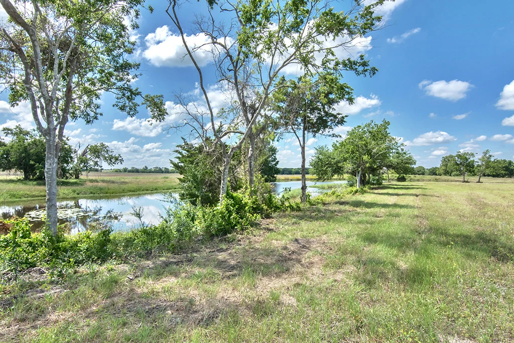 Landscape of Lot 7 at Creek Bend Estates