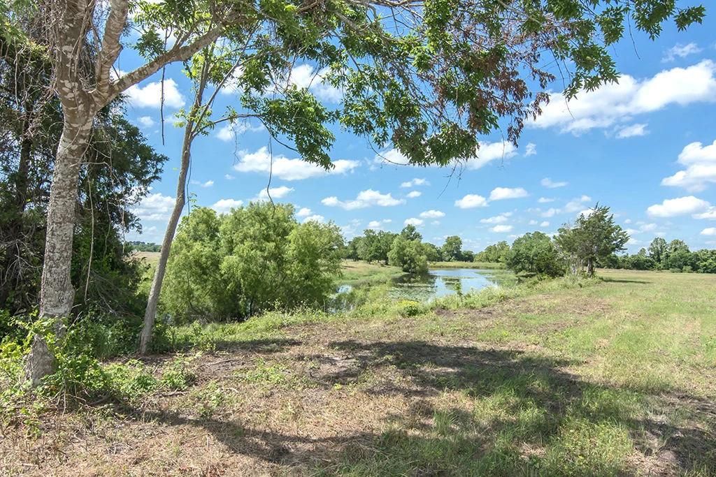 Landscape of Lot 8 at Creek Bend Estates