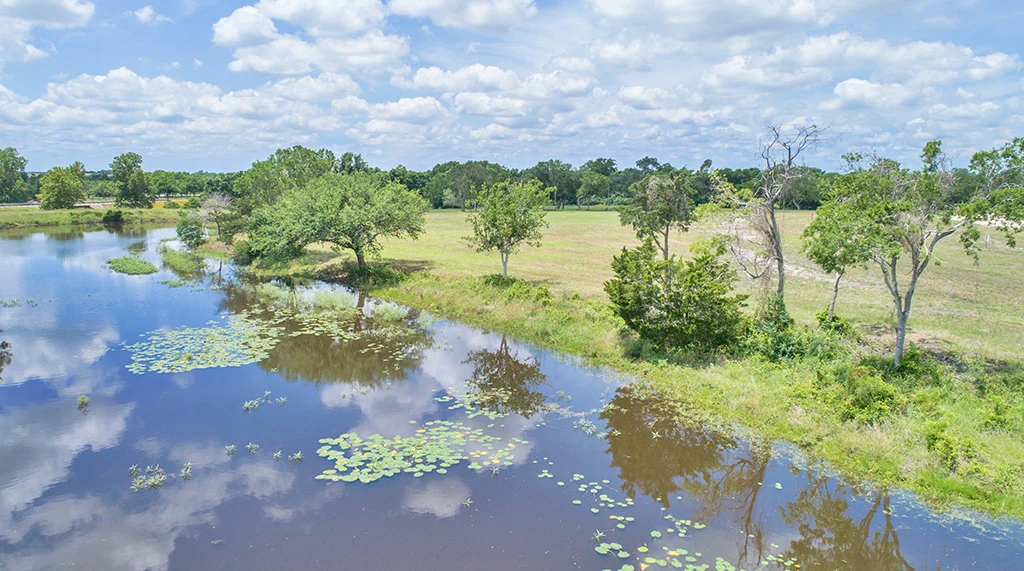 Lot 8, property view 4