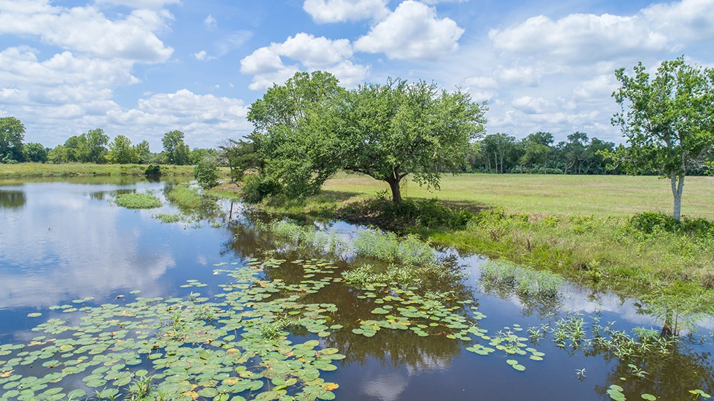 A wide view across the pond and countryside at Creek Bend Estates